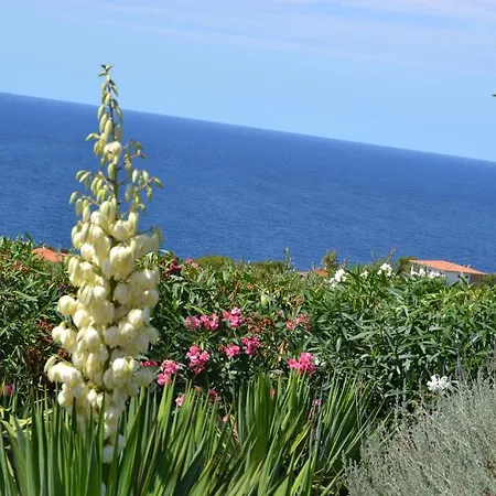 Pischinas בית הארחה Magomadas